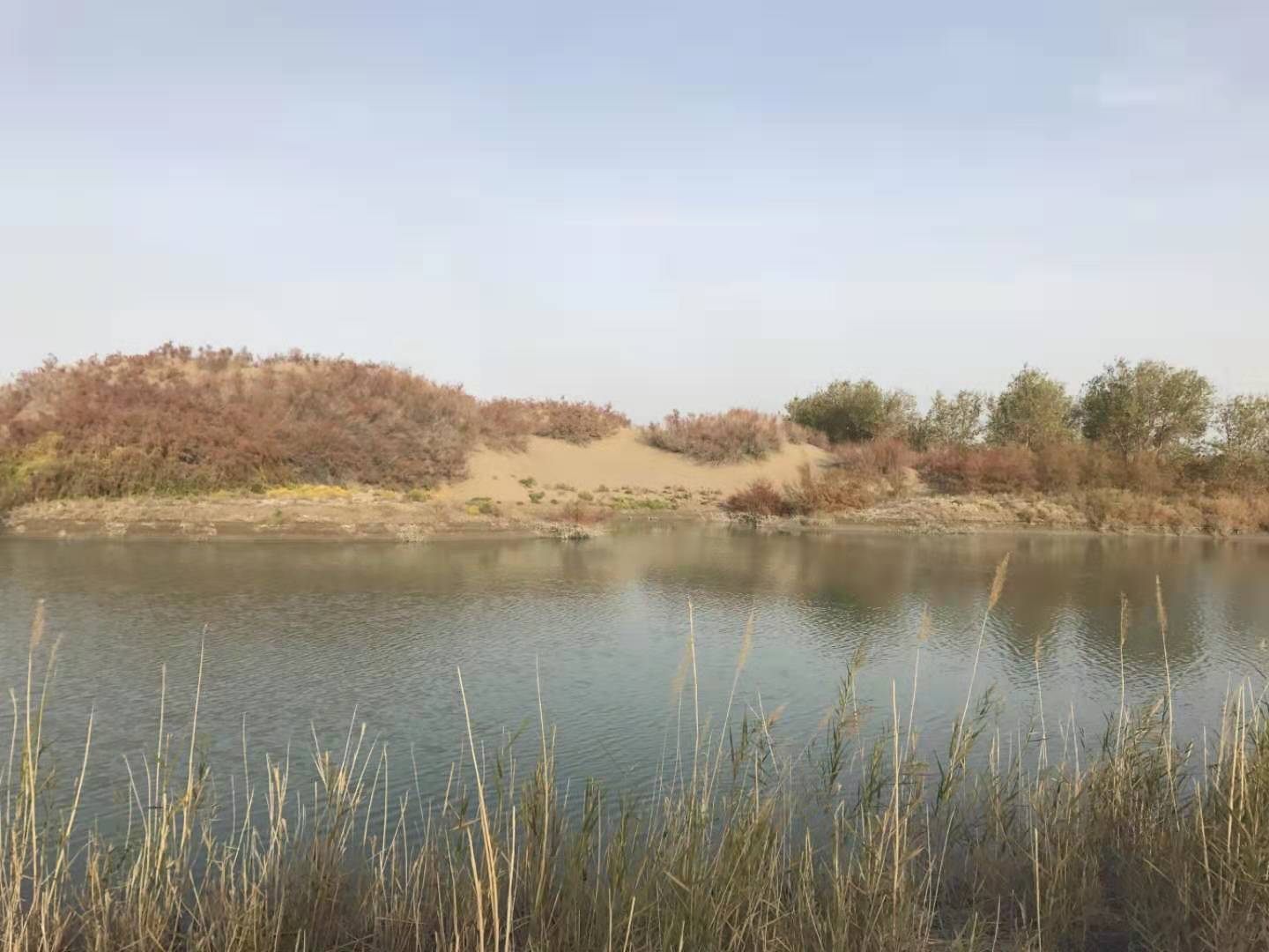 23031317322127233.jpg