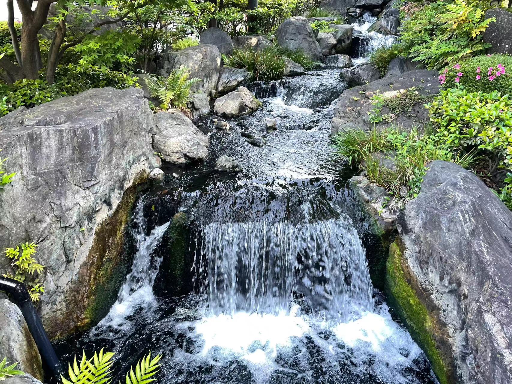 23090816375403579.jpg