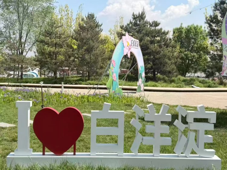 26050715051480736.jpg