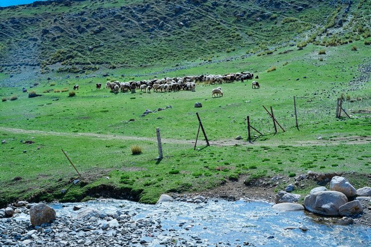 26060314242605972.jpg